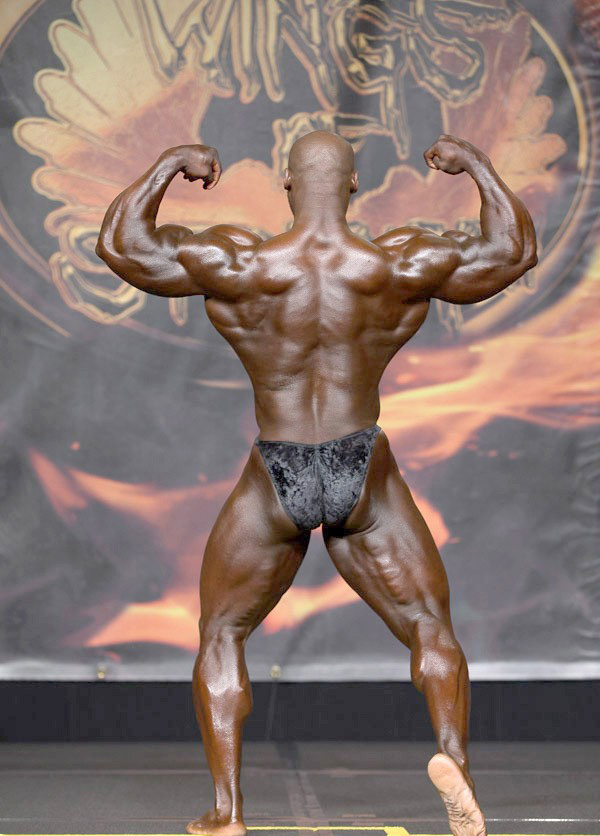 Чикаго Про 2015, Wings of Strength Chicago Pro, 4 июля 2015, Чикаго, США