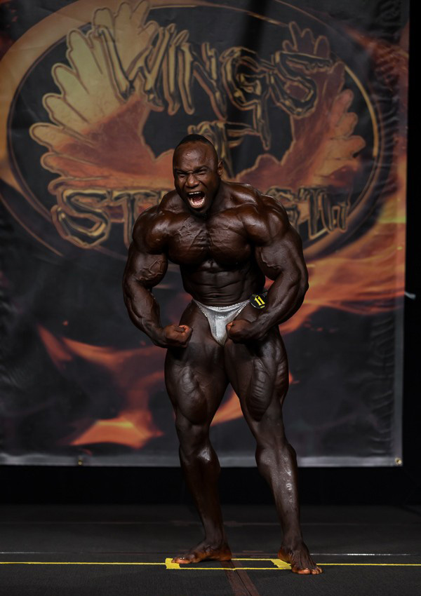 Чикаго Про 2015, Wings of Strength Chicago Pro, 4 июля 2015, Чикаго, США