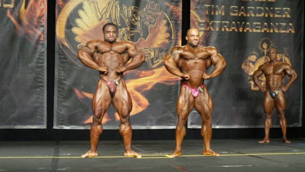 Чикаго Про 2015, Wings of Strength Chicago Pro, 4 июля 2015, Чикаго, США