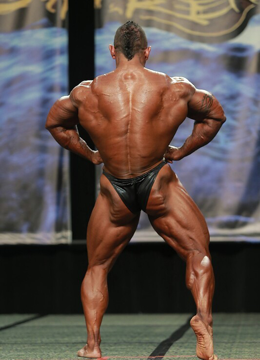 Чикаго Про 2013, Wings of Strength Chicago Pro, 6 июля 2013, Чикаго, США