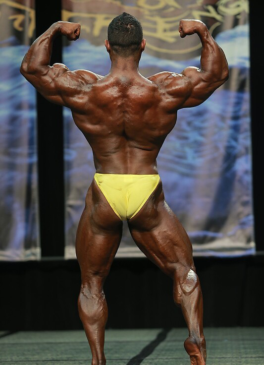 Чикаго Про 2013, Wings of Strength Chicago Pro, 6 июля 2013, Чикаго, США