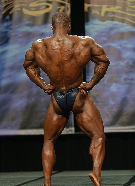 Чикаго Про 2013, Wings of Strength Chicago Pro, 6 июля 2013, Чикаго, США
