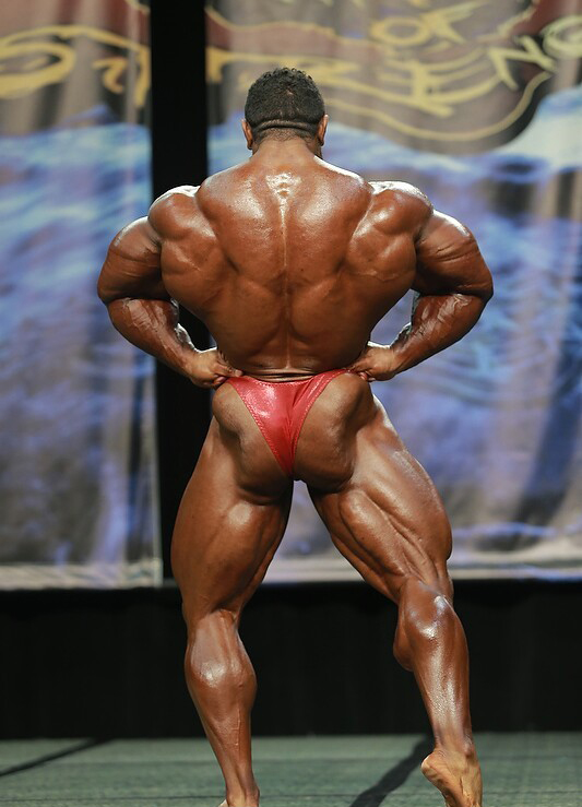 Чикаго Про 2013, Wings of Strength Chicago Pro, 6 июля 2013, Чикаго, США