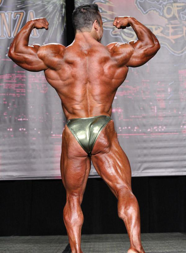 Чикаго Про 2014, Wings of Strength Chicago Pro, 5 июля 2014, Чикаго, США