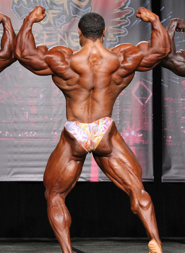Чикаго Про 2014, Wings of Strength Chicago Pro, 5 июля 2014, Чикаго, США