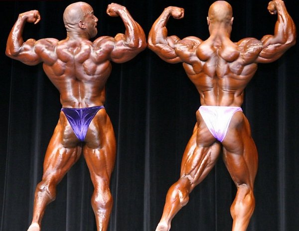 Колорадо Про 2006, Shawn Ray Colorado Pro, 13 мая 2006, Денвер, США