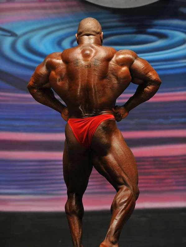 Европа Битва Чемпионов 2010, Europa Battle of Champions, 24 июля 2010, Хартфорд, США