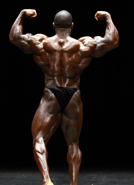 Феникс Про 2010, Europa Phoenix Pro, 20 февраля 2010, Меза, США