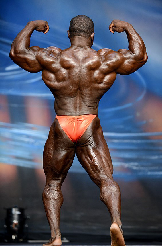Феникс Про 2013, Europa Phoenix Pro, 19 октября 2013, Феникс, США