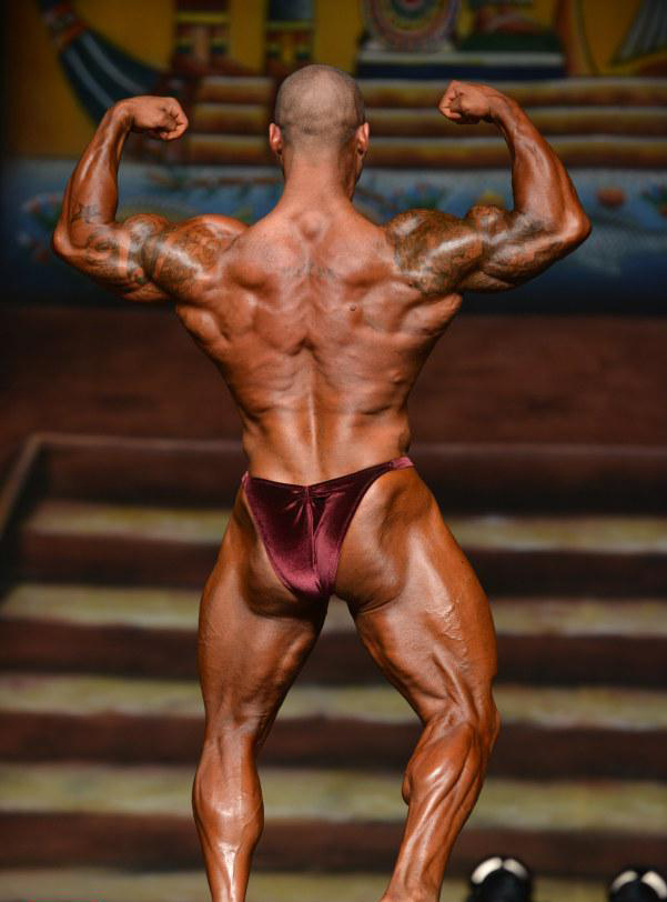 Европа Супершоу 2013, Europa Supershow, 17 августа 2013, Даллас, США