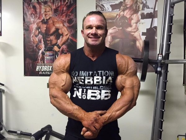 Наследство Ферриньо 2015, Ferrigno Legacy, 21 ноября 2015, Палм-Спрингс, США