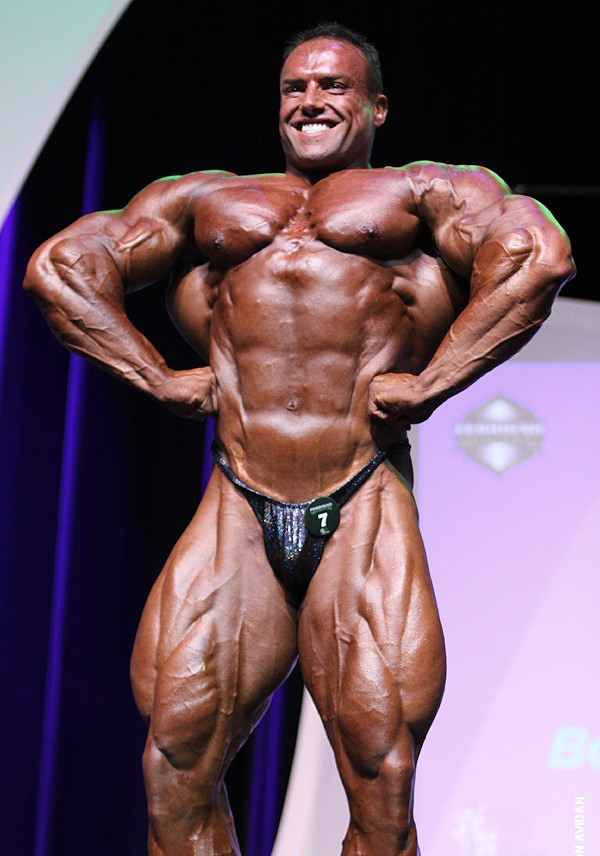 Наследство Ферриньо 2015, Ferrigno Legacy, 21 ноября 2015, Палм-Спрингс, США