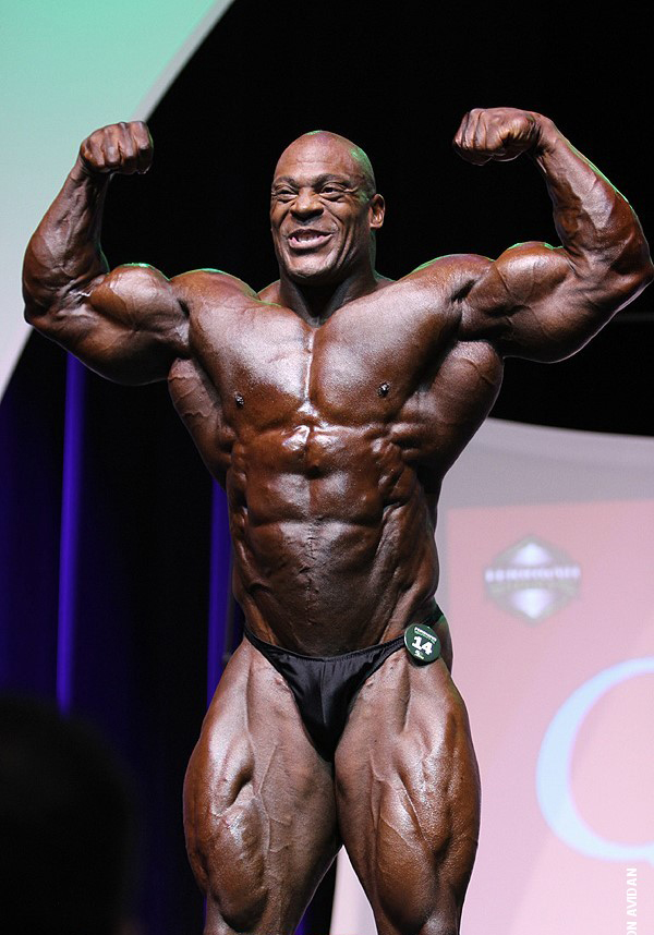 Наследство Ферриньо 2015, Ferrigno Legacy, 21 ноября 2015, Палм-Спрингс, США