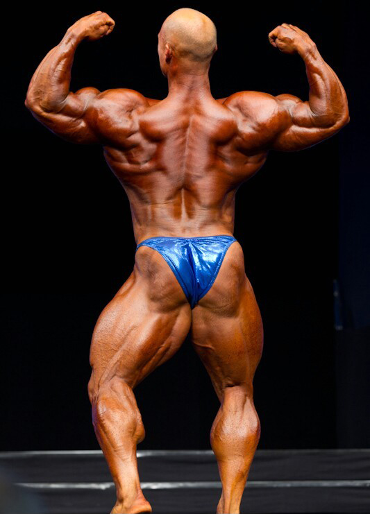 ФИБО Пауэр Про 2011, Fibo Power Pro, 16 апреля 2011, Эссен
