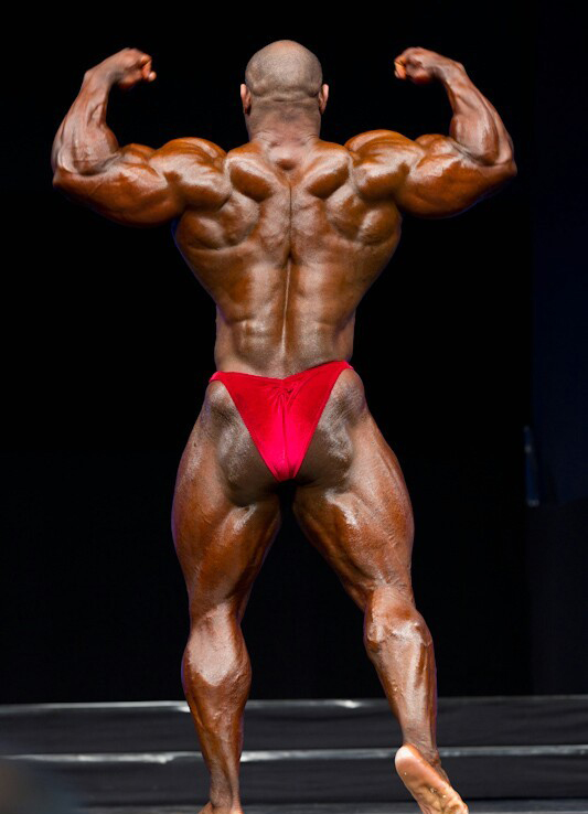 ФИБО Пауэр Про 2011, Fibo Power Pro, 16 апреля 2011, Эссен