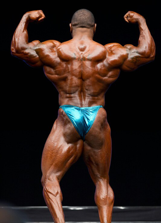 ФИБО Пауэр Про 2011, Fibo Power Pro, 16 апреля 2011, Эссен