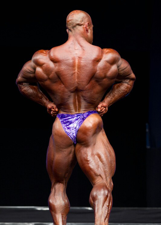 ФИБО Пауэр Про 2011, Fibo Power Pro, 16 апреля 2011, Эссен