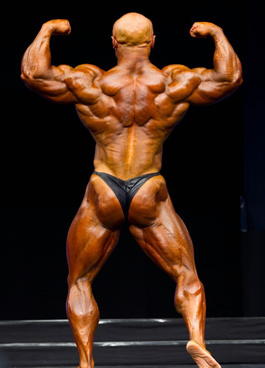 ФИБО Пауэр Про 2011, Fibo Power Pro, 16 апреля 2011, Эссен