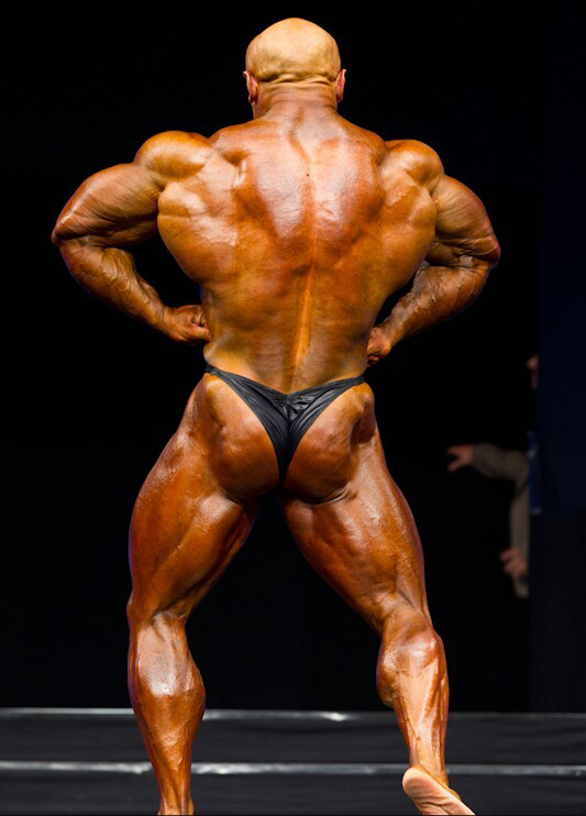 ФИБО Пауэр Про 2011, Fibo Power Pro, 16 апреля 2011, Эссен
