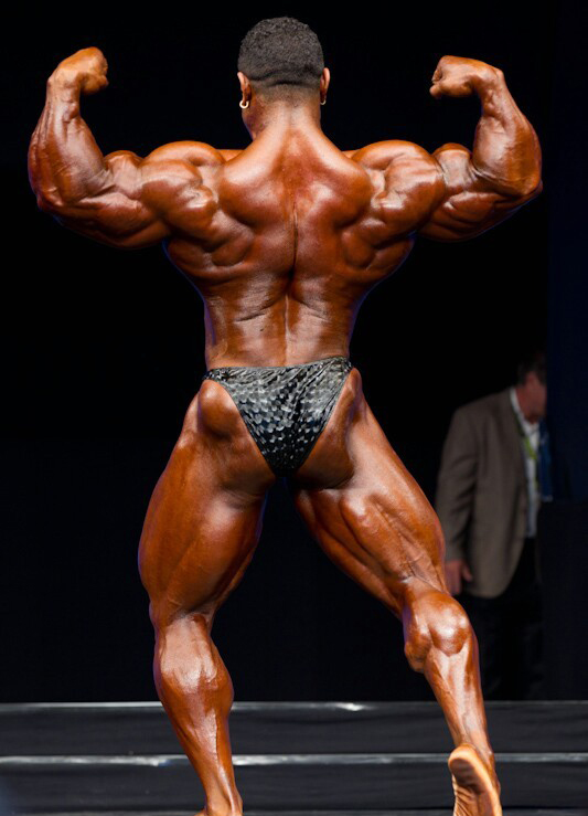 ФИБО Пауэр Про 2011, Fibo Power Pro, 16 апреля 2011, Эссен