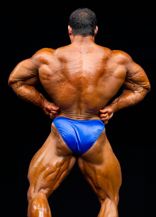 ФИБО Пауэр Про 2011, Fibo Power Pro, 16 апреля 2011, Эссен