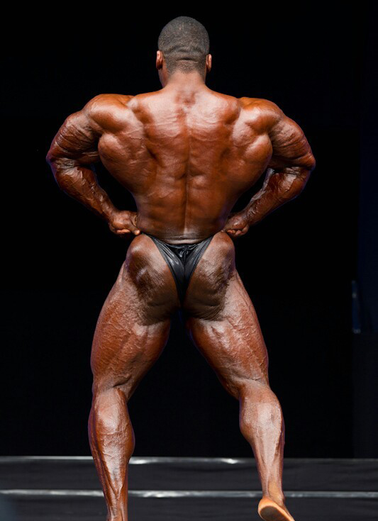ФИБО Пауэр Про 2011, Fibo Power Pro, 16 апреля 2011, Эссен