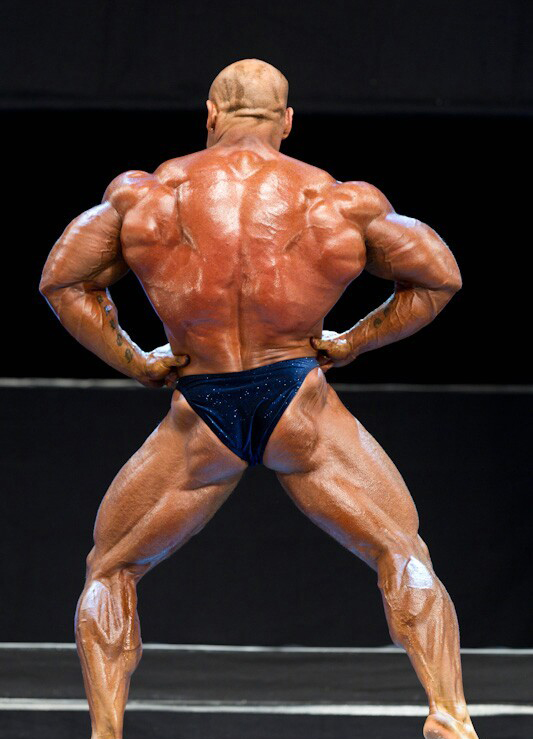 Ли Пауэлл, Lee Powell на турнире ФИБО Пауэр Про 2012