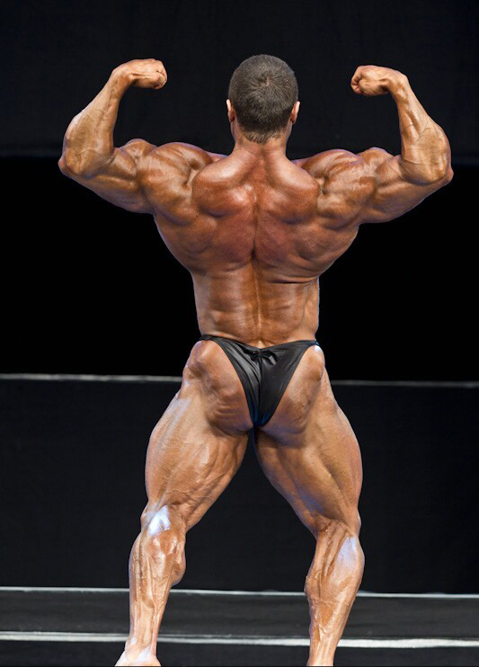 Сергей Шелестов, Sergey Shelestov на турнире ФИБО Пауэр Про 2012