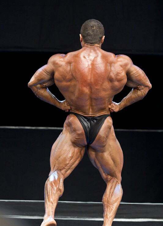 Сергей Шелестов, Sergey Shelestov на турнире ФИБО Пауэр Про 2012