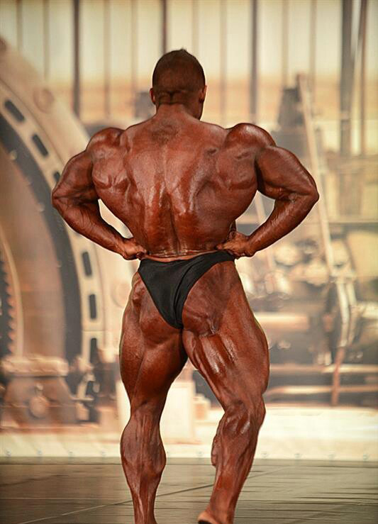 ФИБО Пауэр Про 2013, Fibo Power Pro, 13 апреля 2013, Кельн
