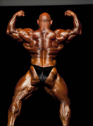 Гран При Австралия 2012, Australia Pro Grand Prix, 17 марта 2012, Мельбурн, Австралия