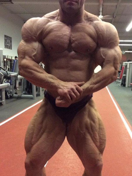 Гран При Фитнес Хаус Про 2014, Grand Prix Fitness House PRO, 1 ноября 2014, Санкт-Петербург, Россия