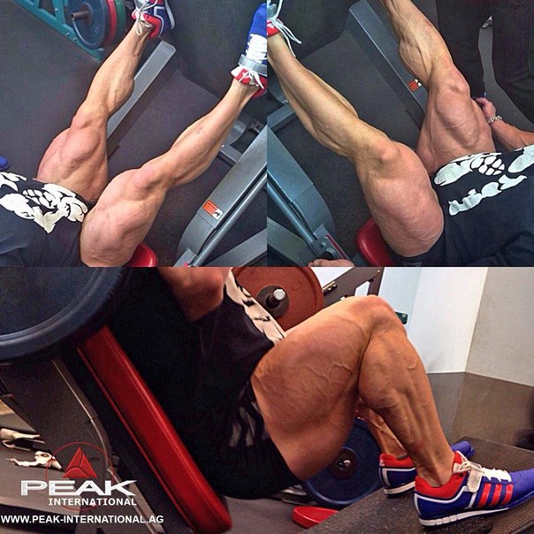 Гран При Фитнес Хаус Про 2014, Grand Prix Fitness House PRO, 1 ноября 2014, Санкт-Петербург, Россия