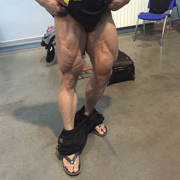 Гран При Фитнес Хаус Про 2014, Grand Prix Fitness House PRO, 1 ноября 2014, Санкт-Петербург, Россия