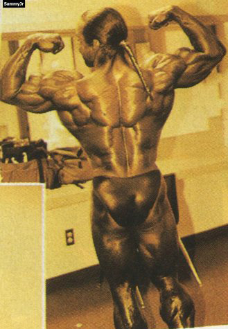 Айронмен Про 1996, Ironman Pro, 24 февраля 1996, Редондо Бич, США