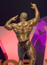 Дэвид Хенри Мистер Олимпия 2008
