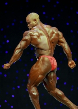 Виктор Мартинез Мистер Олимпия 2009