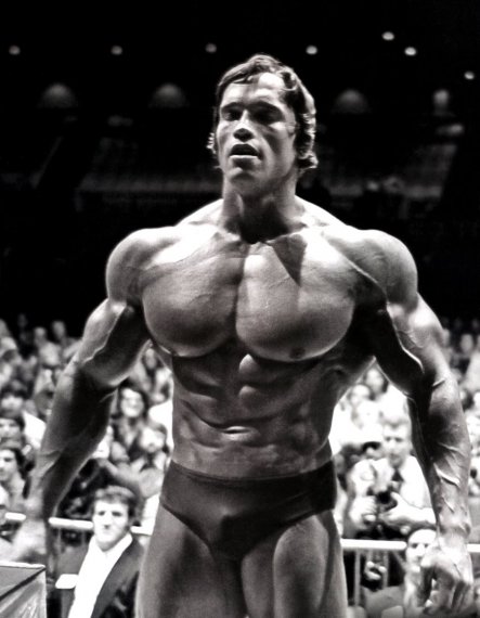Мистер Олимпия 1974, Mister Olympia, 1974, Нью-Йорк, США