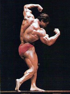Франко Коломбо, Franco Columbu на турнире Мистер Олимпия 1981