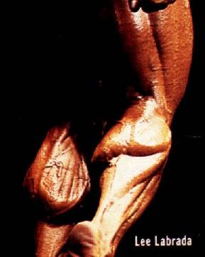 Ли Лабрада, Lee Labrada на турнире Мистер Олимпия 1990