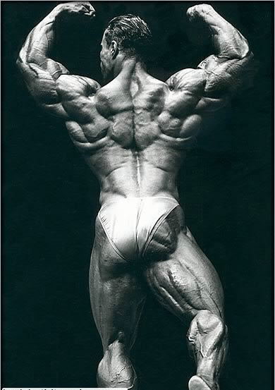 Кевин Леврон, Kevin Levrone на турнире Мистер Олимпия 1995