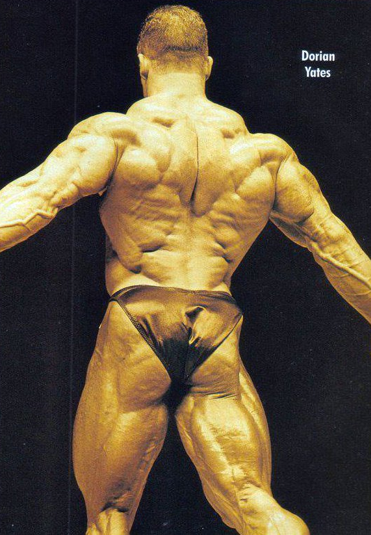 Мистер Олимпия 1995, Mister Olympia, 10 сентября 1995, Атланта, США