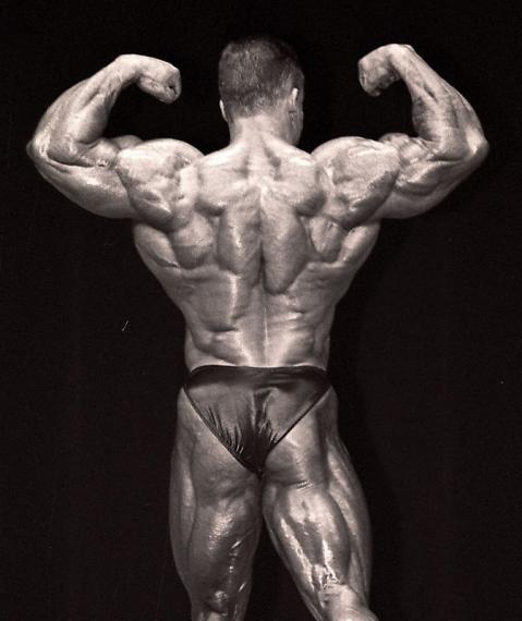 Мистер Олимпия 1995, Mister Olympia, 10 сентября 1995, Атланта, США
