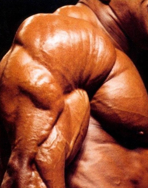 Нассер Эль Сонбати, Nasser El Sonbaty на турнире Мистер Олимпия 1997