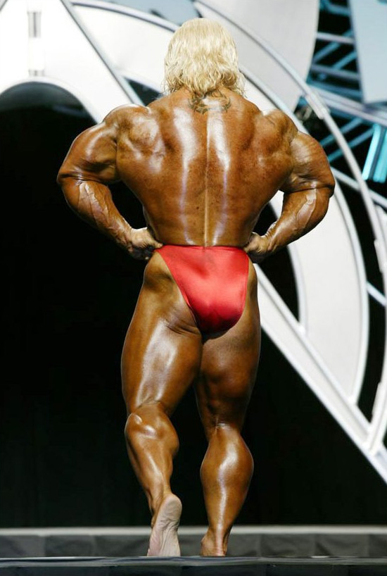 Ли Прист, Lee Priest на турнире Мистер Олимпия 2003
