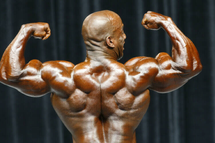 Мистер Олимпия 2006, Mister Olympia, 30 сентября 2006, Лас-Вегас, США