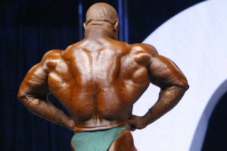 Мистер Олимпия 2006, Mister Olympia, 30 сентября 2006, Лас-Вегас, США