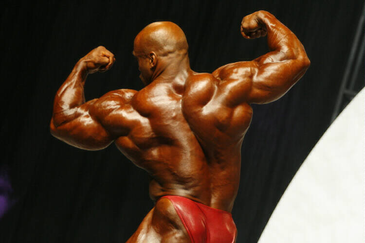 Деннис Джеймс, Dennis James на турнире Мистер Олимпия 2006