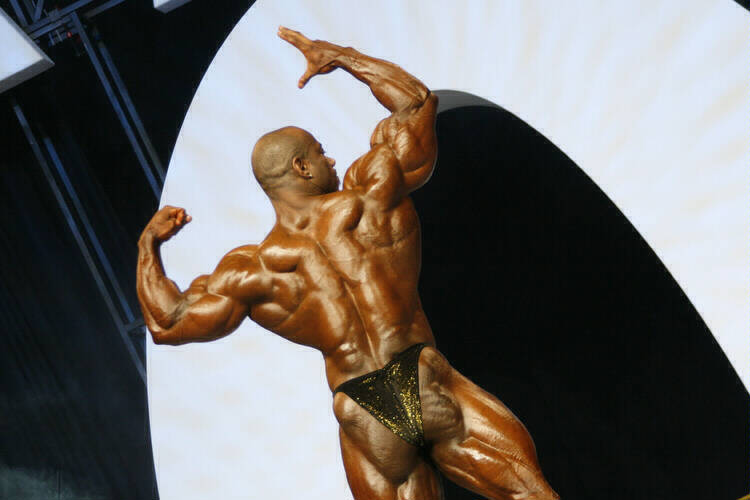 Декстер Джексон, Dexter Jackson на турнире Мистер Олимпия 2006