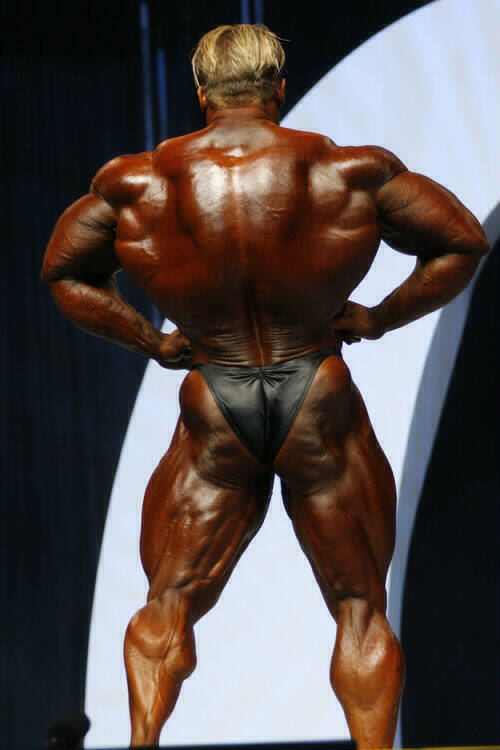 Джей Катлер, Jay Cutler на турнире Мистер Олимпия 2006